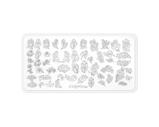 Matrita stampila Cupio S10