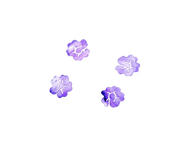 Scoici presate Violet