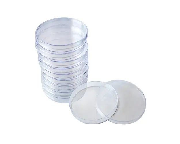 Recipiente Petri pentru gel - set 10 buc.