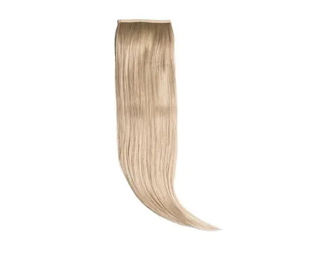Coada Par Drept Blond Cenusiu - Belher