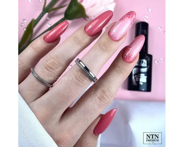 Oja semipermanenta Ntn Premium Topless Collection 15, 5 g