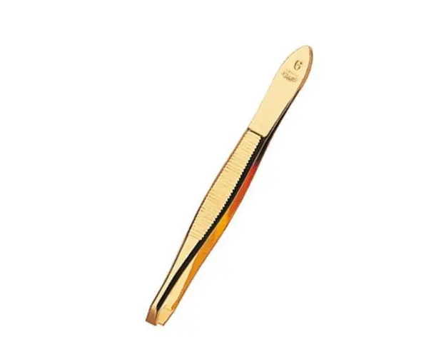 Penseta aurita Nippes 3