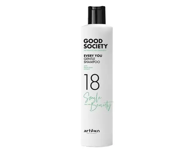 Sampon pentru toate tipurile de par Artego GS18N Every You 250ml