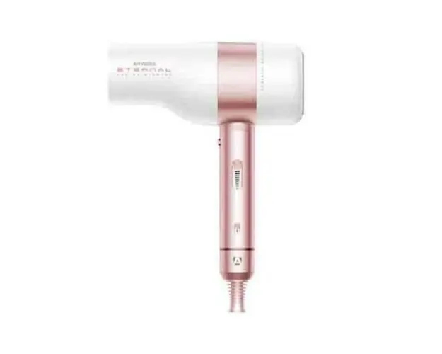 Uscator de par profesional Artero Eternal 2000w