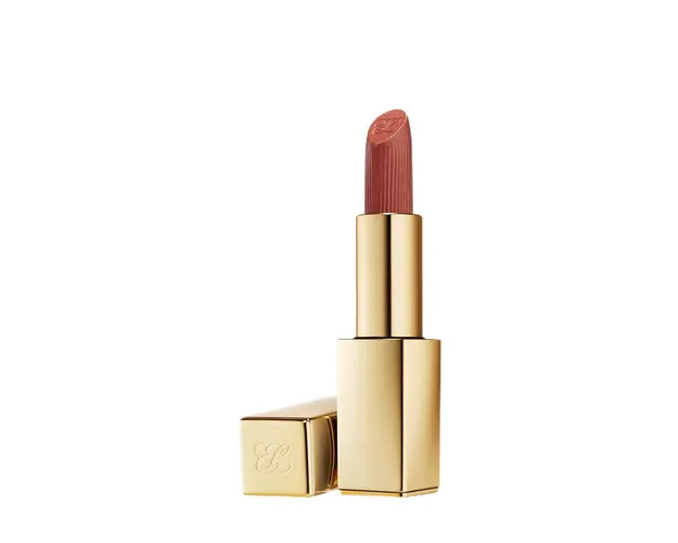 Pure color hi-lustre lipstick n 111 3.50 gr