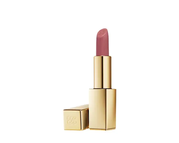Pure color matte lipstick n828 3.50 gr