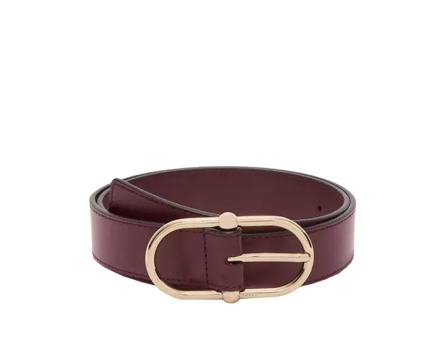 Camelia fixed belt