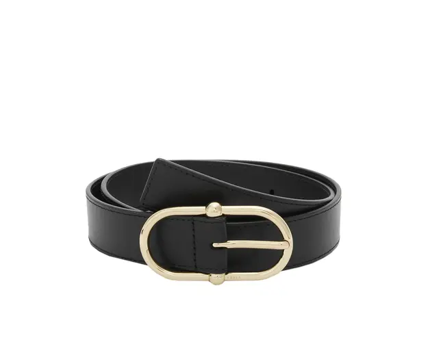 Camelia fixed belt