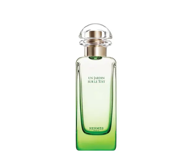 Un jardin sur le toit 100 ml