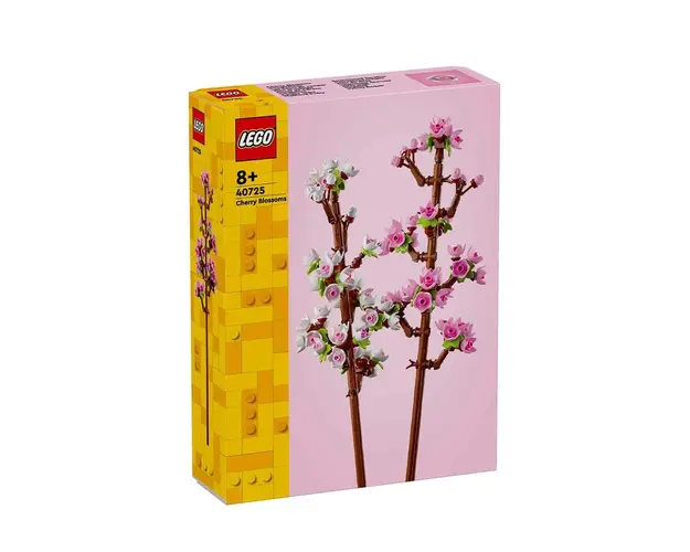 Cherry blossoms 40725 