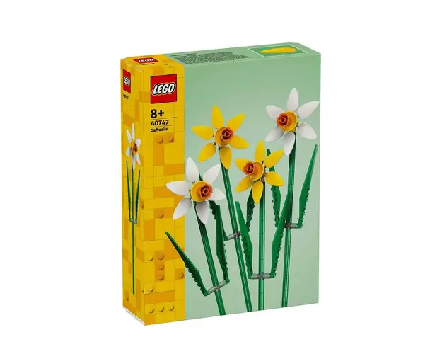 Daffodils 40747 