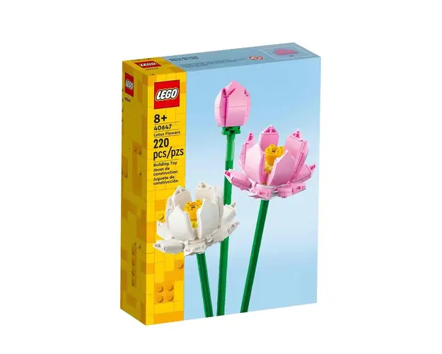 Lotus flowers 40647
