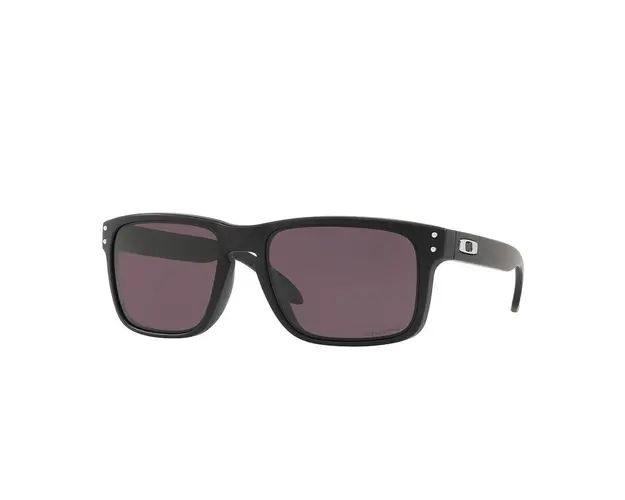 Holbrook™ steel collection oo9102