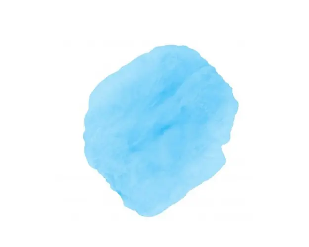 Bonete unica folosinta albastru Bournas Medicals Soft Care Mob cap accordion 100buc