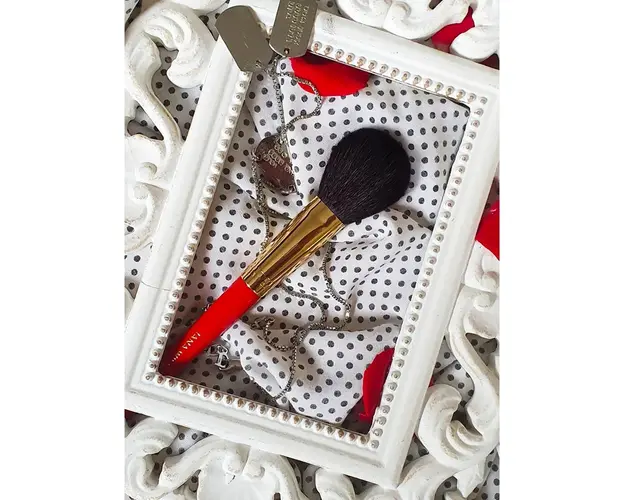 Pensula IW Blush F104