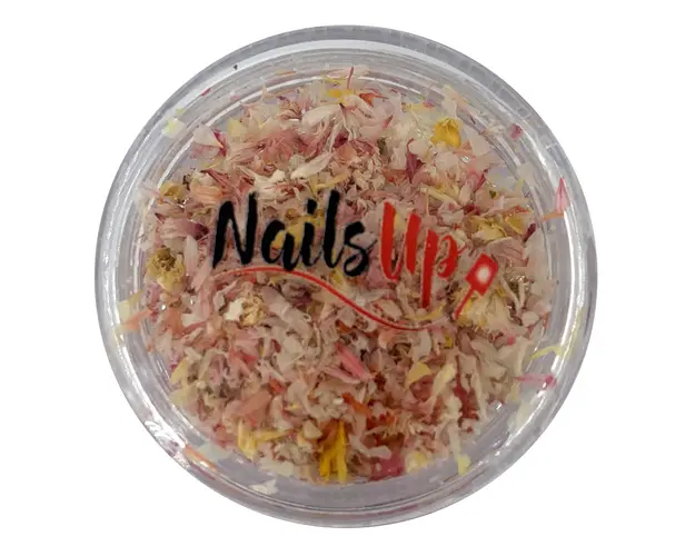 Decor Unghii NailsUp Nail Art Petale Uscate