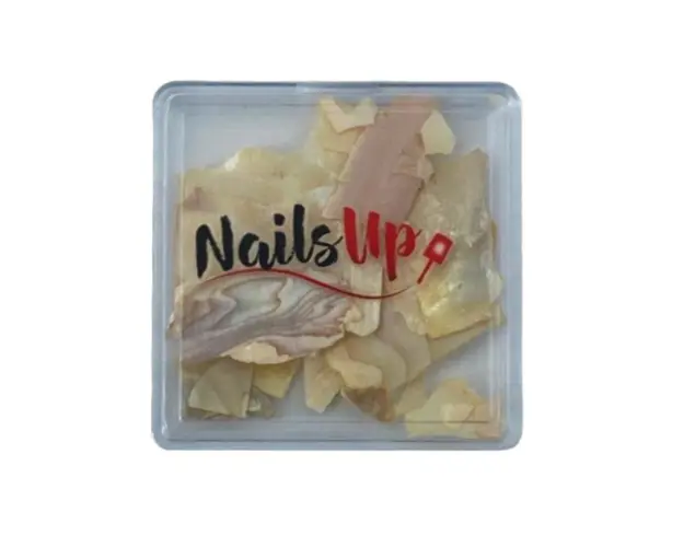 Decor Unghii NailsUp Scoica Gold 05