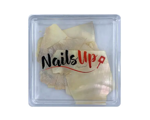 Decor Unghii NailsUp Scoici Nail Art