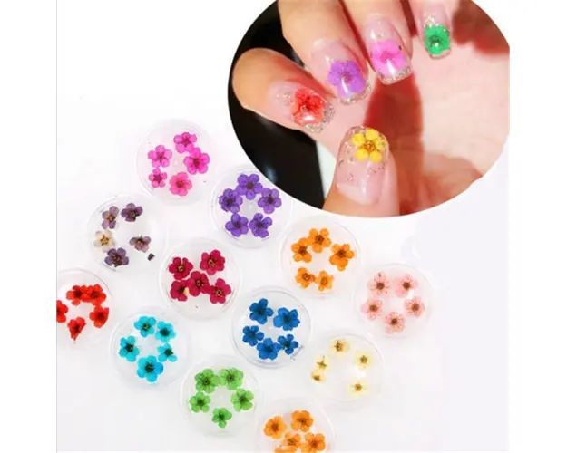 Flori Uscate Nail Art 03