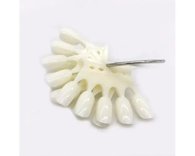 Set 50 Tips Unghii Coroana