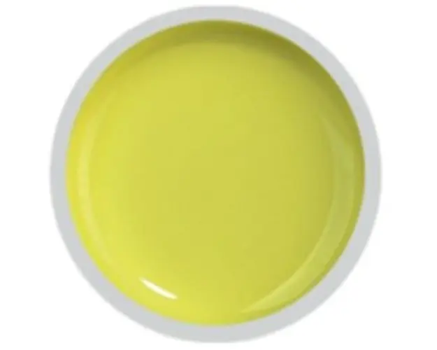COVER COLOR GEL FSM 015 - CC-015 - Everin.ro