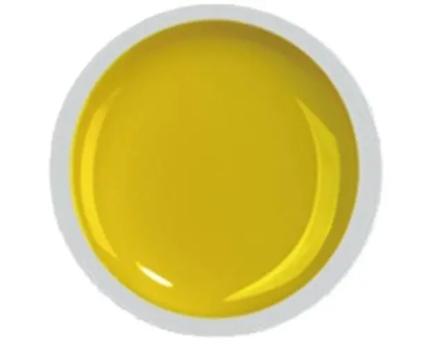 COVER COLOR GEL FSM 021 - CC-021 - Everin.ro