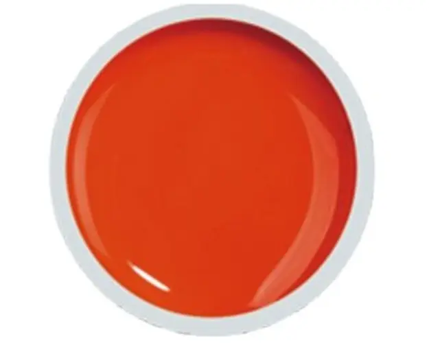 COVER COLOR GEL FSM 042 - CC-042 - Everin.ro