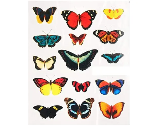 TATUAJ DECOR UNGHII STZ-1005 - STZ-1005 - Everin.ro