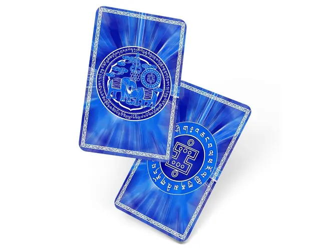 Card de protectie cu elefant si rinocer 2024
