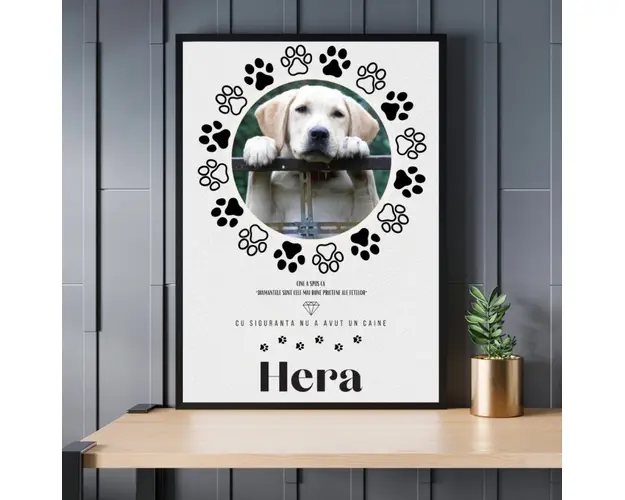 Rama foto Cel mai bun prieten