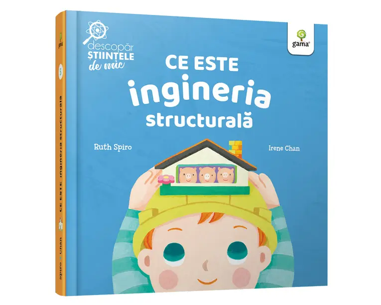 Ce este ingineria structurala