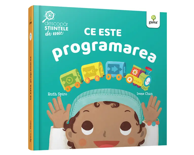 Ce este programarea