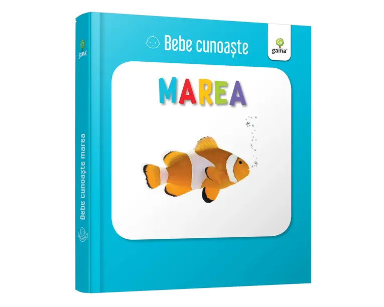 Marea