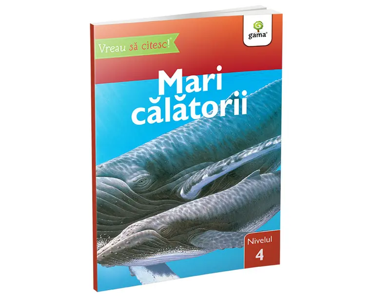 Mari calatorii nivelul 4