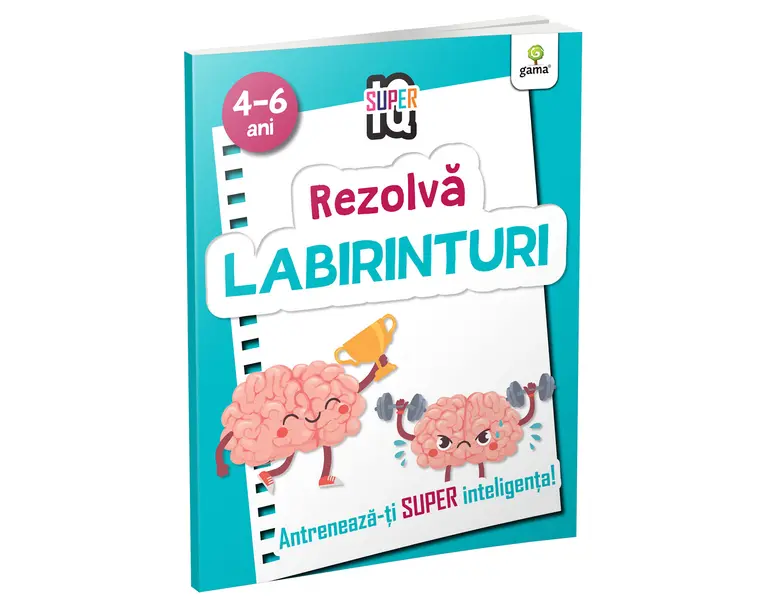 Rezolva labirinturi