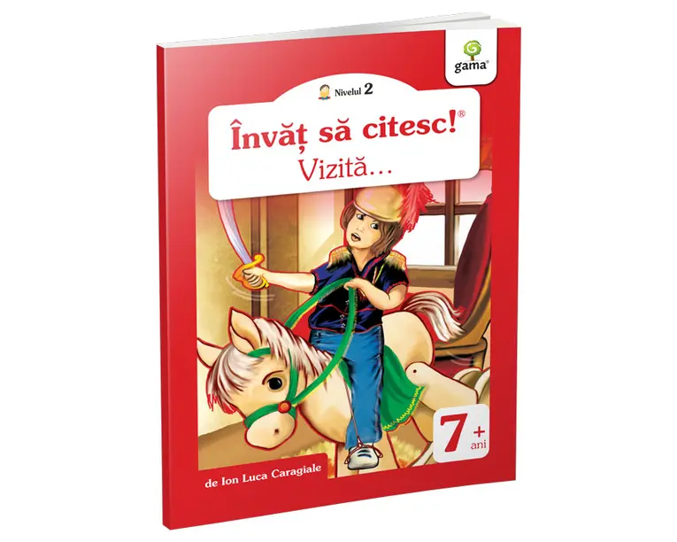Vizita