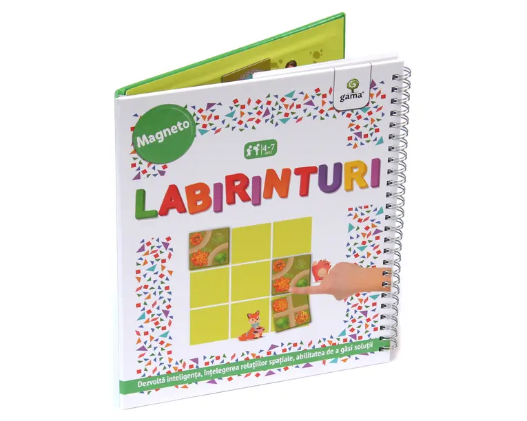 Labirinturi