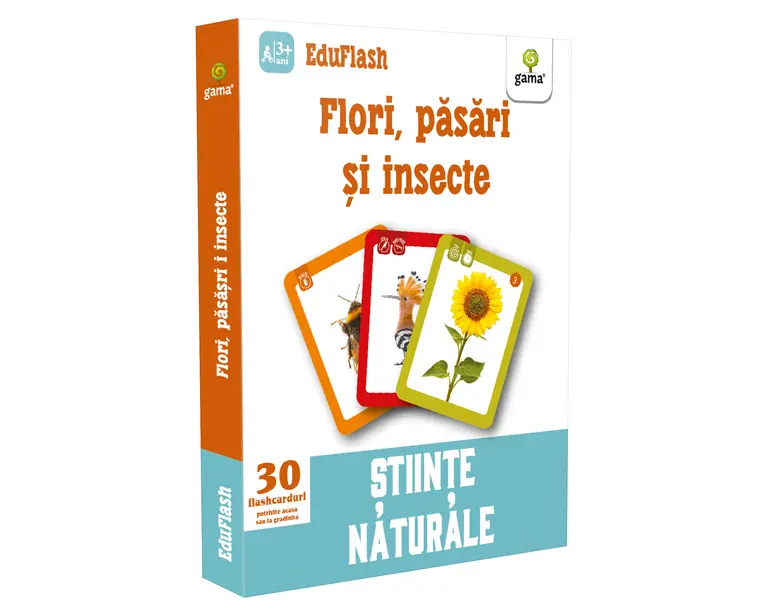 Flori, pasari si insecte