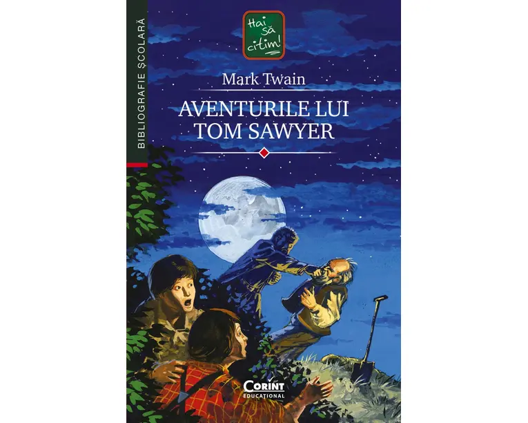 Aventurile lui Tom Sawyer