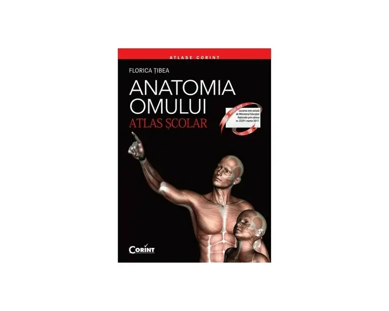 Anatomia omului. Atlas scolar