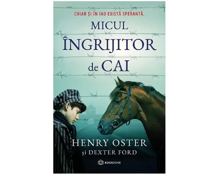 Micul ingrijitor de cai