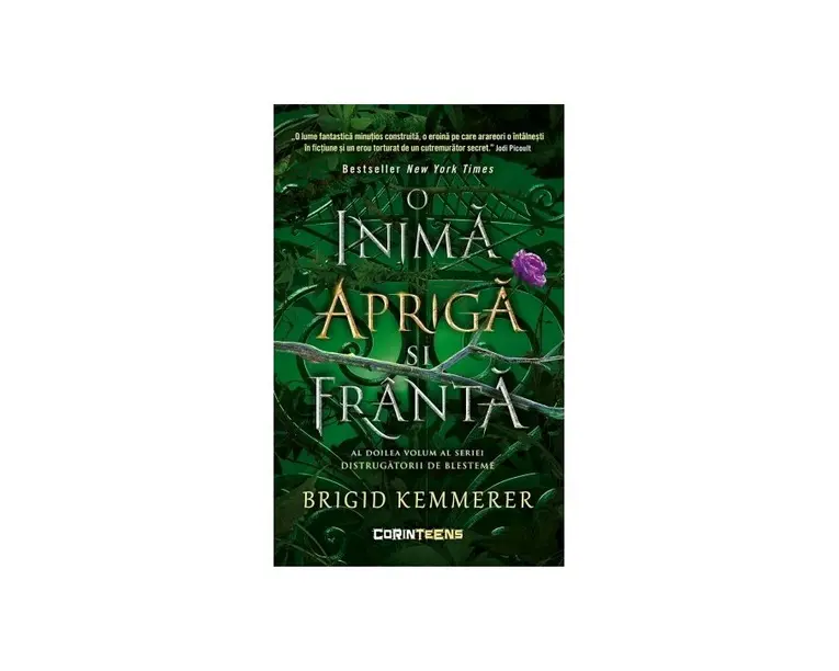 O inima apriga si franta. Seria Distrugatorii de blesteme, Vol. 2