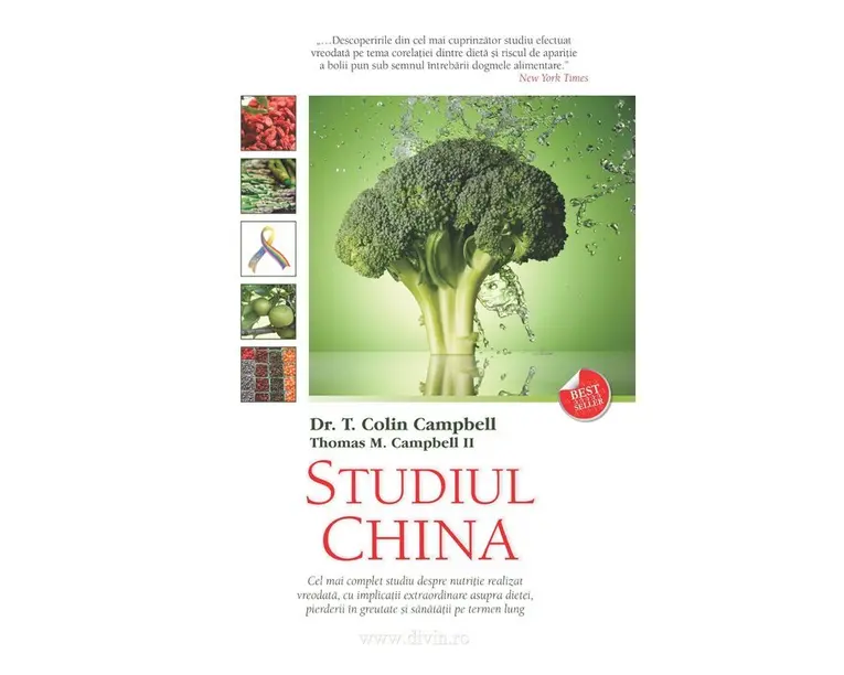 Studiul China