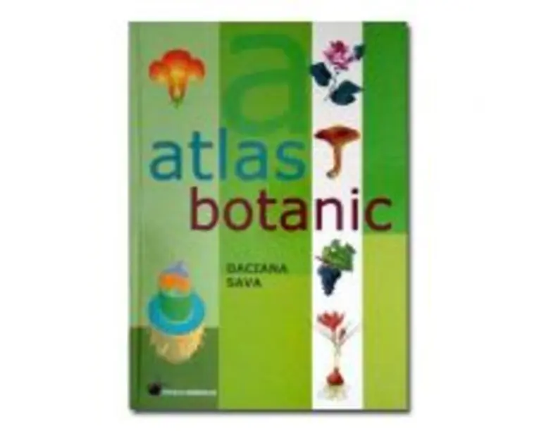 Atlas botanic. Editie cartonata - Daciana Sava
