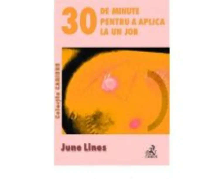 30 de minute pentru a aplica la un job - June Lines
