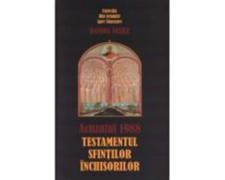 Acuzatul 1988 - Danion Vasile