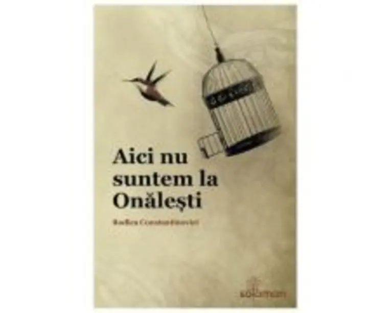Aici nu suntem la Olanesti - Rodica Constantinovici