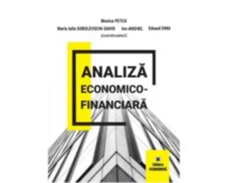 Analiza economico-financiara - Monica Petcu