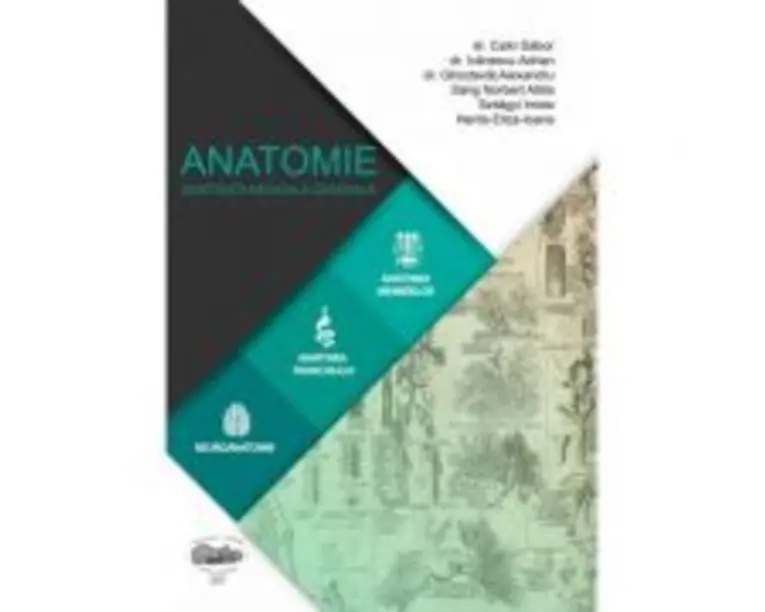 Anatomie pentru AMG - Csiki Gabor
