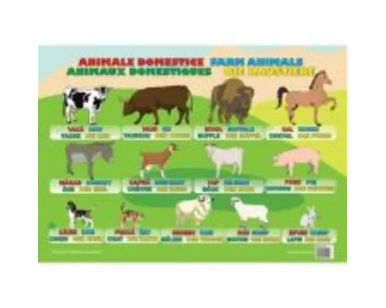Animale Domestice - Plansa educativa